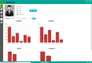 软件开发与创新设计 从奇幻岛CRM管理系统到猪八戒网平台